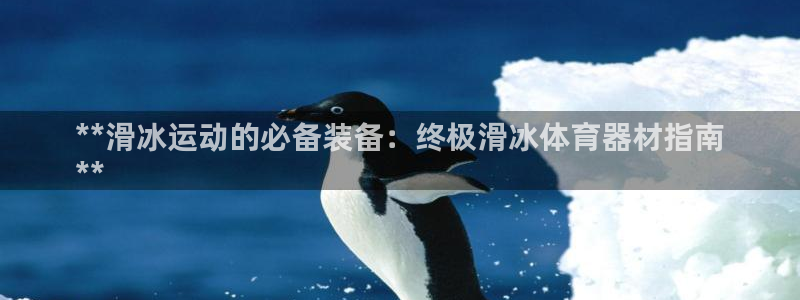 欧陆平台寇 5O6917 欧陆：**滑冰运动的必备装