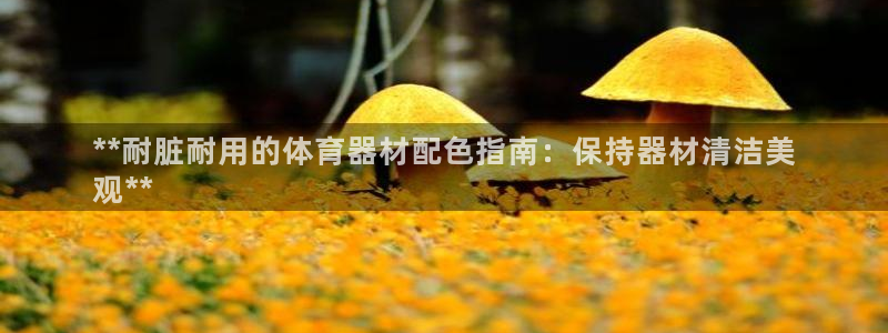 欧陆娱乐老板是谁：**耐脏耐用的体育器材配色指南：保