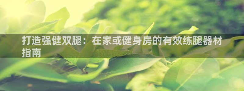 欧陆集团董事长：打造强健双腿：在家或健身房的有效练腿