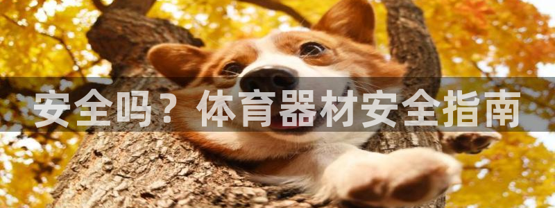 欧陆天下的微信名字好吗：安全吗？体育器材安全指南