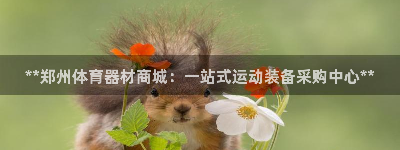 欧陆来袭什么意思：**郑州体育器材商城：一站式运动装
