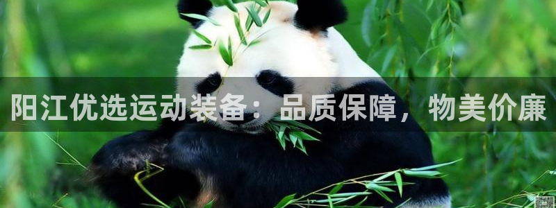 欧陆登场的图片：阳江优选运动装备：品质保障，物美价廉