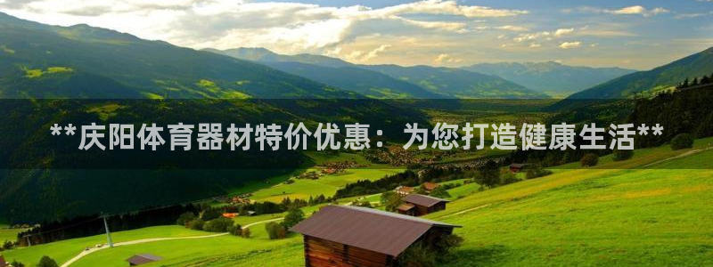 欧陆娱乐官方网站下载：**庆阳体育器材特价优惠：为您