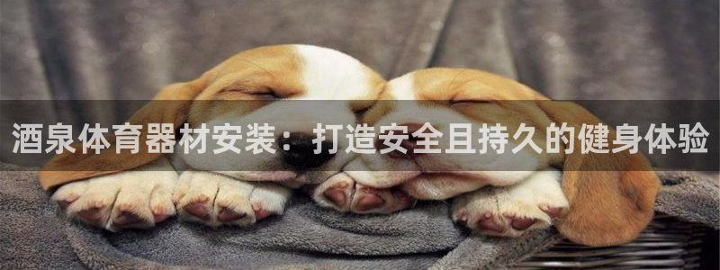 欧陆娱乐能提现吗现在怎么样：酒泉体育器材安装：打造安