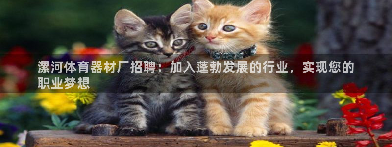 欧陆平台开户联4.8.7.7.8.4他系稳定吗