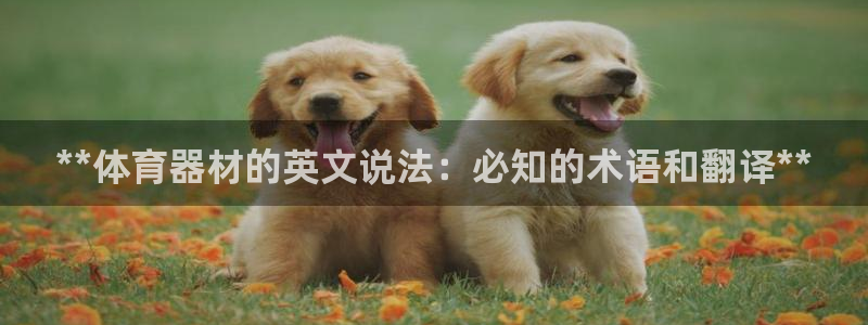 欧陆娱乐能提现吗现在多少钱：**体育器材的英文说法：