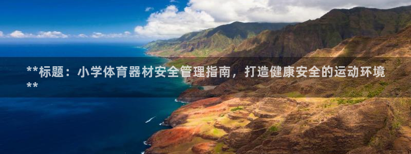 欧陆天下的微信名字好吗：**标题：小学体育器材安全管