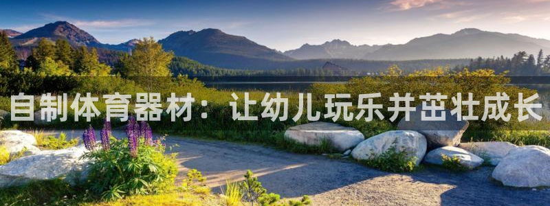 欧陆平台注册步骤：自制体育器材：让幼儿玩乐并茁壮成长