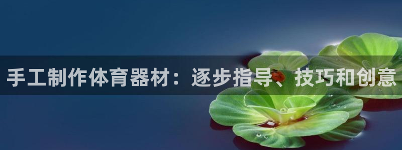 欧陆娱乐间7O777：手工制作体育器材：逐步指导、技