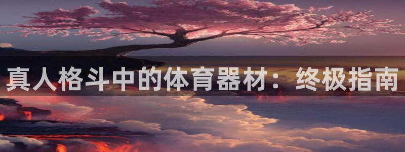 欧陆平台注册最新地址查询：真人格斗中的体育器材：终极