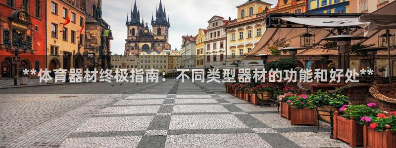 欧陆意思是什么：**体育器材终极指南：不同类型器材的