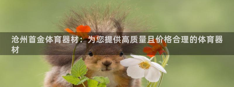 欧陆平台注册：沧州首金体育器材：为您提供高质量且价格