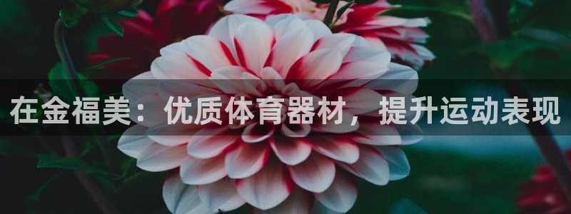 欧陆平台最新注册地址是哪里的：在金福美：优质体育器材