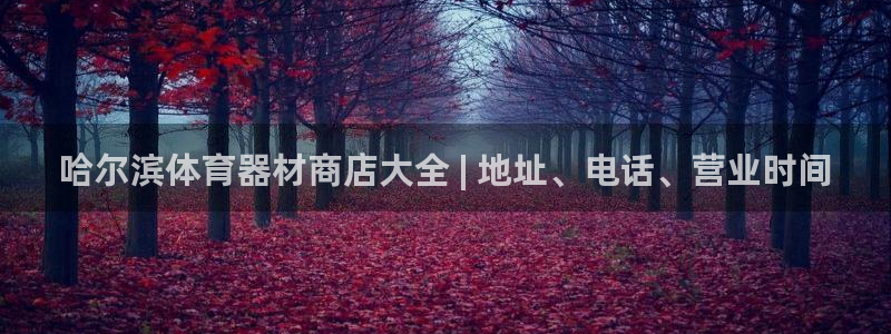 欧陆平台合作 585341：哈尔滨体育器材商店大全 